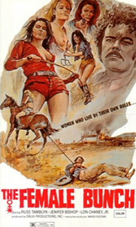 The Female Bunch exploitation film movie poster